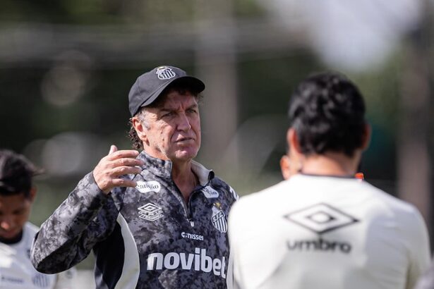 Santos luta pela Sul-Americana e para se afastar do Z-4 antes da Copa do Mundo