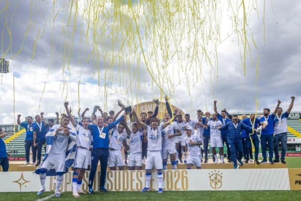 Campeão da Copa Sul-Sudeste, Avaí mira vaga na Série B contra o Ceará