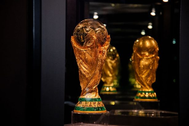 Fifa atinge faturamento recorde com a Copa do Mundo e redefine o mercado esportivo