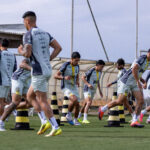 Mirassol busca vitória contra o Flamengo no Brasileiro