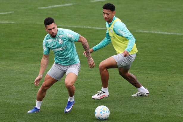 Paulinho e Piquerez treinam com o grupo e aumentam opções do Palmeiras