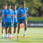 Sormani aponta falhas e dúvida do desempenho da seleção rumo ao Mundial